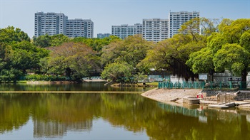 Being one of the major parks in the New Territories, Tuen Mun Park offers an extensive peaceful breathing space in the city. The trees and the pond provides the residents with pleasant views of the landscape.